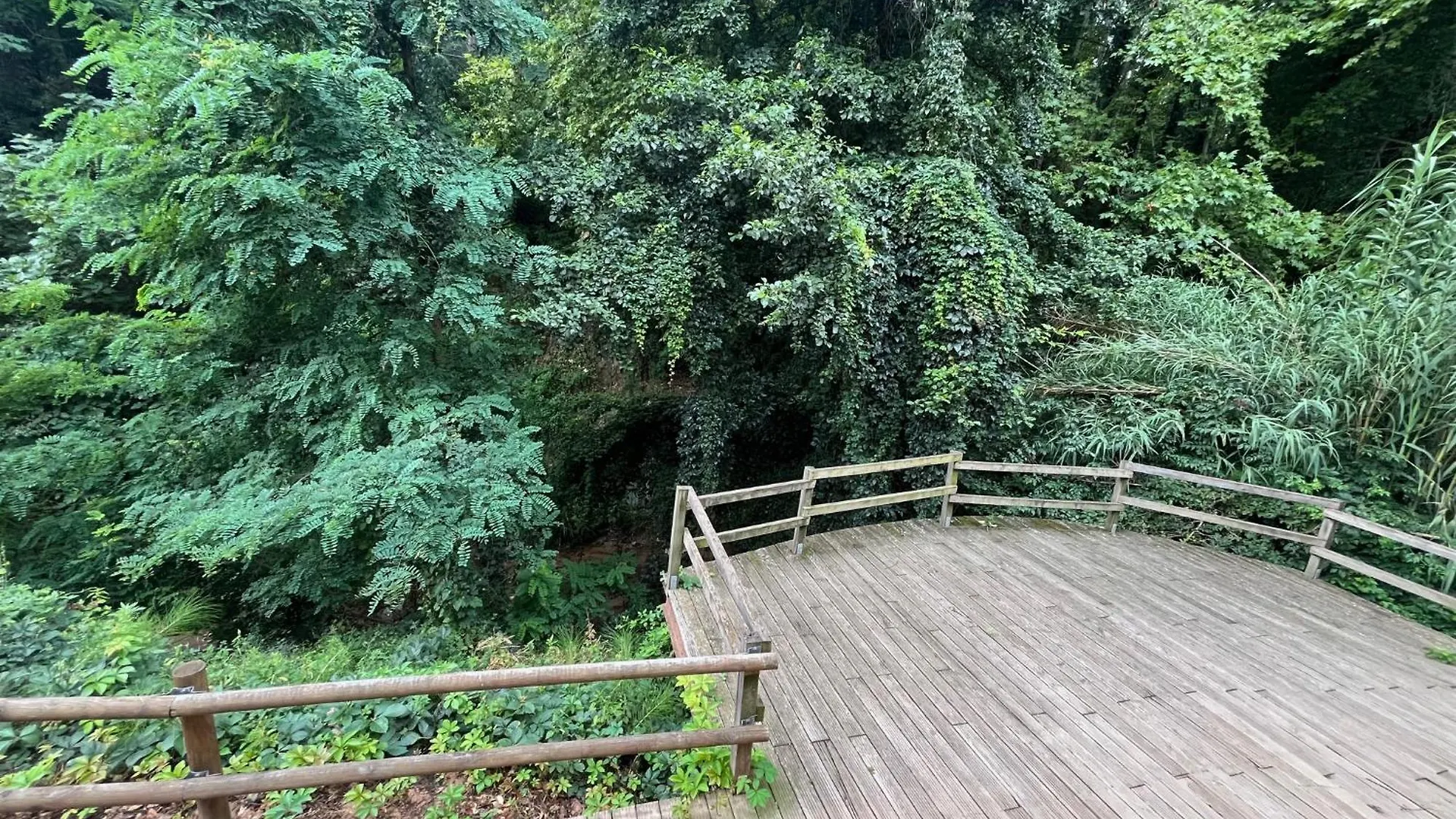 Apartamento El Mirador De La Farga Arbúcies 0*,